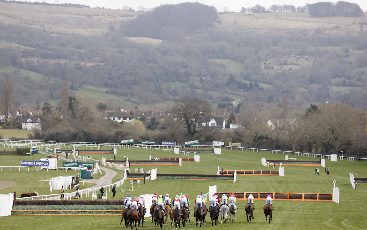 Picture-postcard backdrop: runners heading down the hill at the Cheltenham Festival. Photo: Dan Abraham/focusonracing.com