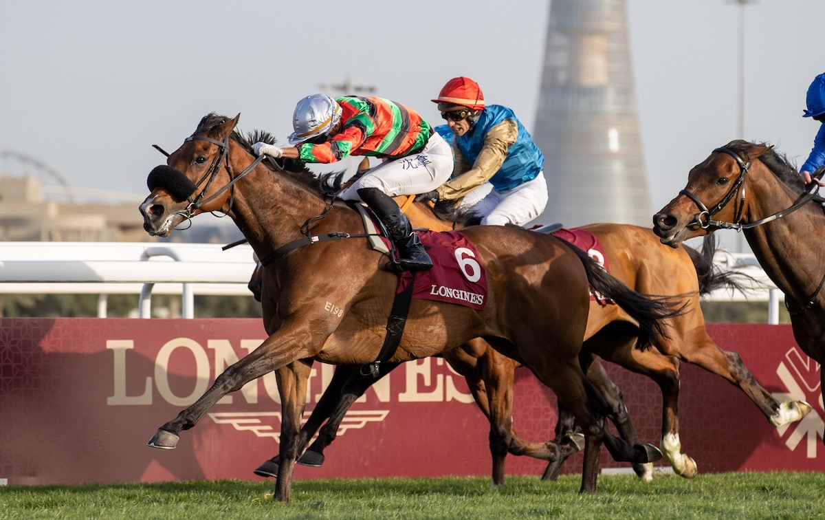 Swooping to conquer: Russian Emperor overwhelms eventual third Bolthole in Qatar. Photo courtesy of QREC Photo