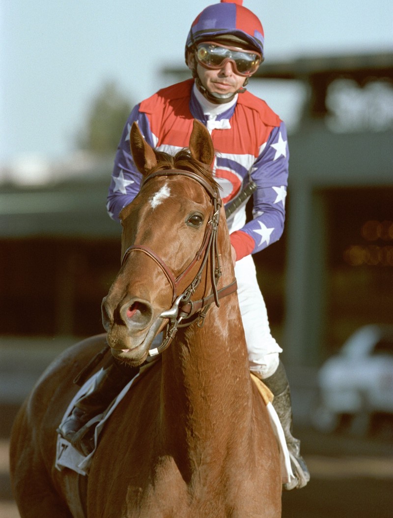 Azeri and Mike Smith return after one of their 15 triumphs. Photo: Benoit