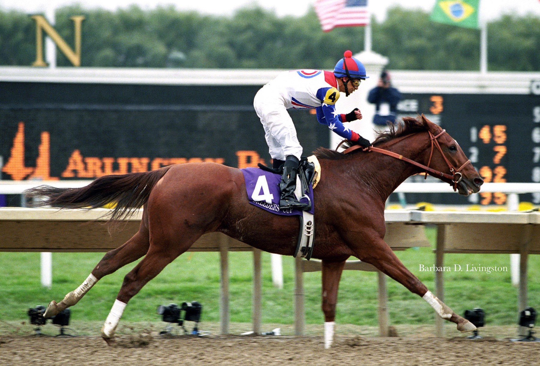 Azeri capped her Horse of the Year campaign with authority in the Breeders' Cup Distaff. Photo: Barbara Livingston