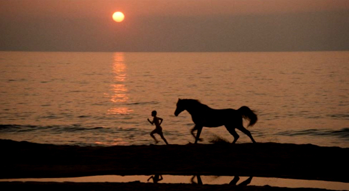 Reno and stallion: there is no mistaking the look of film's cinematography. (United Artists photo)
