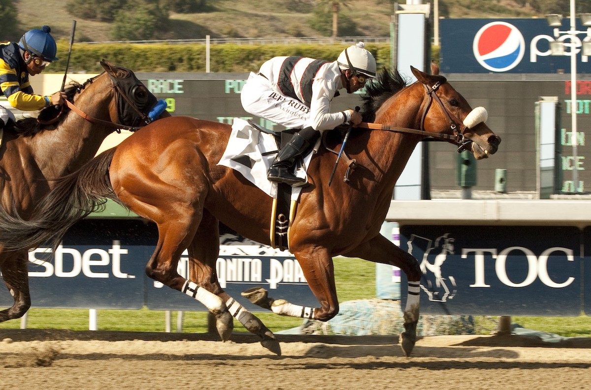 The bargain-basement buy Amazombie becomes a graded stakes winner in the 2011 Potrero Grande Stakes at Santa Anita. (Benoit photo)