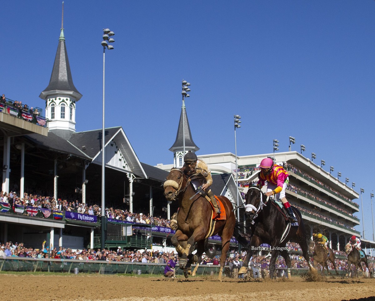 Amazombie and Mike Smith catch Force Freeze at the end of the 2011 Breeders' Cup Sprint to win by a neck beneath the Twin Spires at Churchill Downs. (Barbara Livingston photo)
