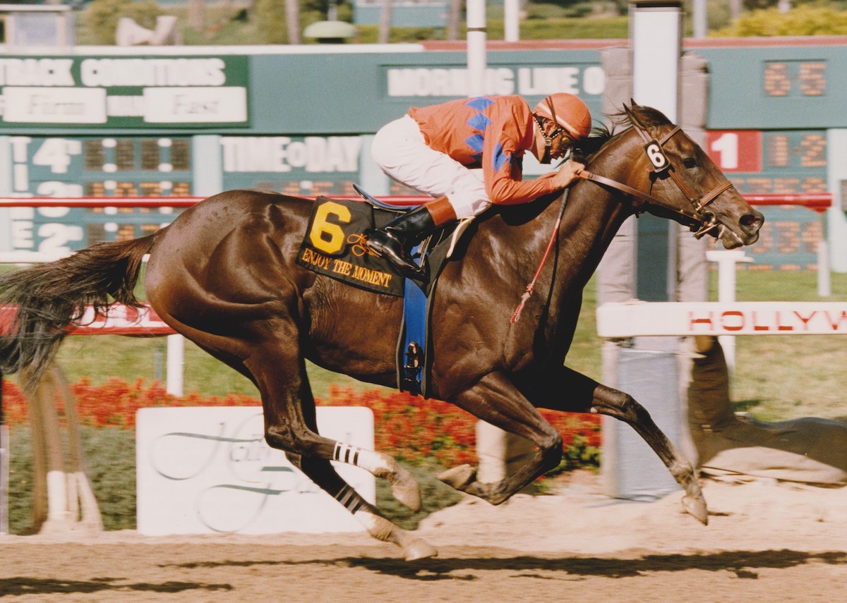 Spawr developed Enjoy The Moment from into a multiple winner of graded stakes, including her career-best in the 1999 A Gleam Handicap at Hollywood Park. (Benoit photo)