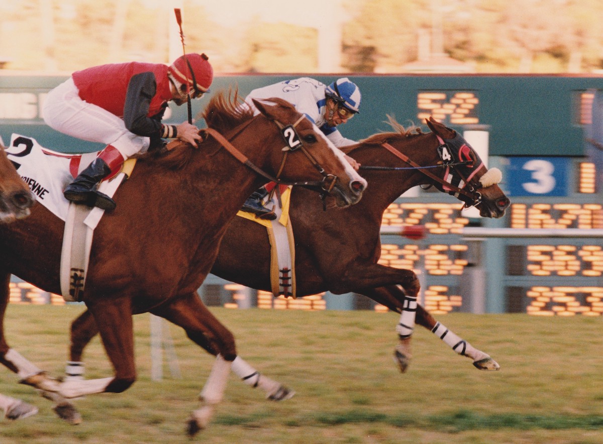 Spawr cherishes the day Exchange defeated the Charlie Whittingham filly Aube Indienne in the 1994 Matriarch Stakes. Photo: Stidham & Associates (Courtesy of Hollywood Park, provided by Edward Kip Hannan & Roberta Weiser)