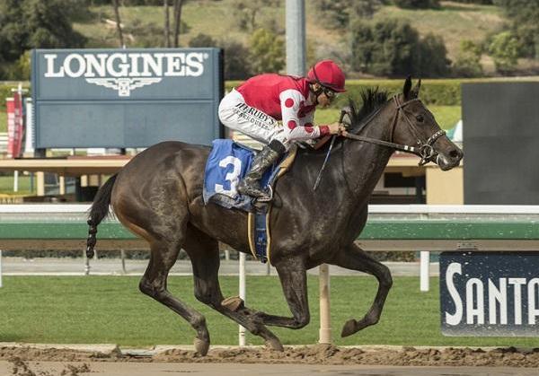 It was Spawr who gets the credit for the early triumphs of Midnight Bisou, here under Mike Smith in the Santa Ysabel Stakes. (Benoit photo)