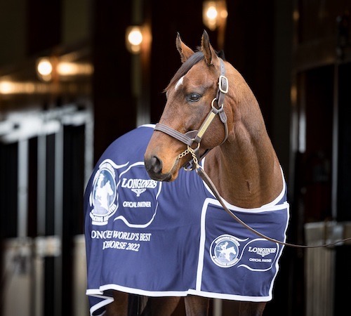 Flightline: world’s best racehorse in 2022 at his new home Lane’s End. Photo: EquiSport Photos for IFHA