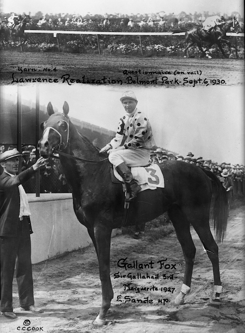 World record: Triple Crown hero Gallant Fox established a new mark for career career earnings when he won the Lawrence Realisation at Belmont Park in September under Earl Sande. Photos courtesy of Keeneland Library Cook Collection