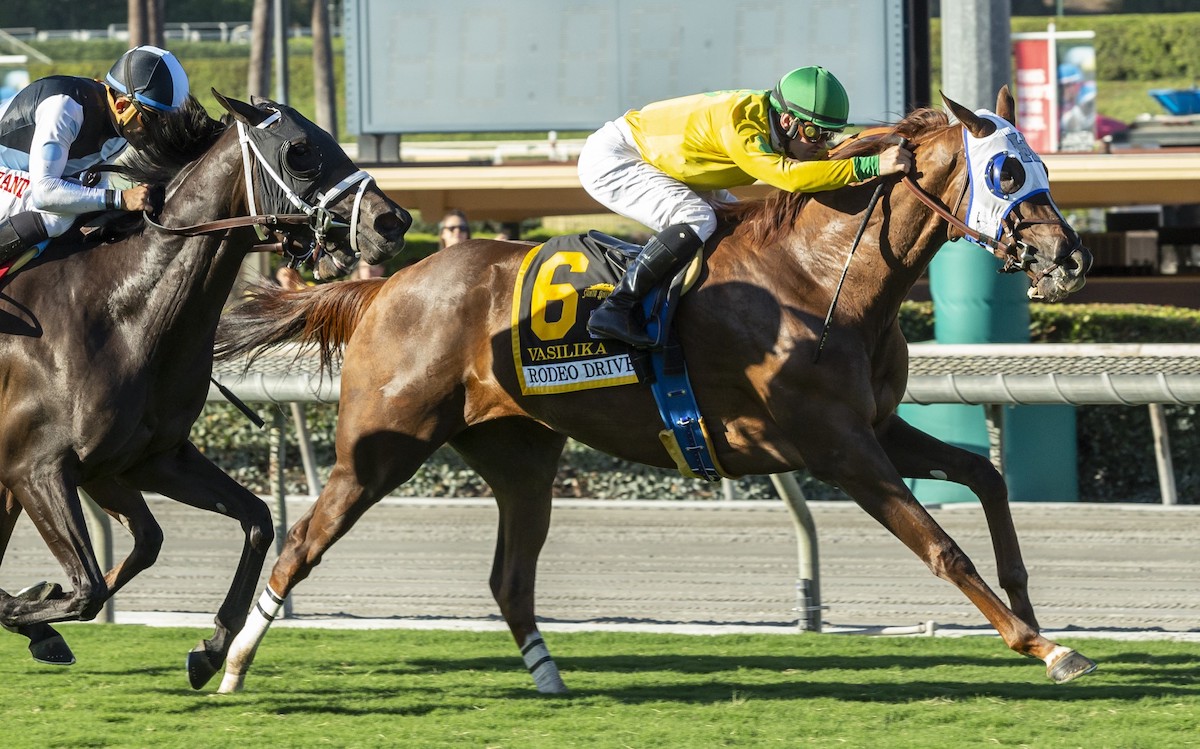 Vasilika makes an effortless jump to G1 competition to defeat the classy Paved in the 2018 Rodeo Drive at Santa Anita. Photo: Benoit