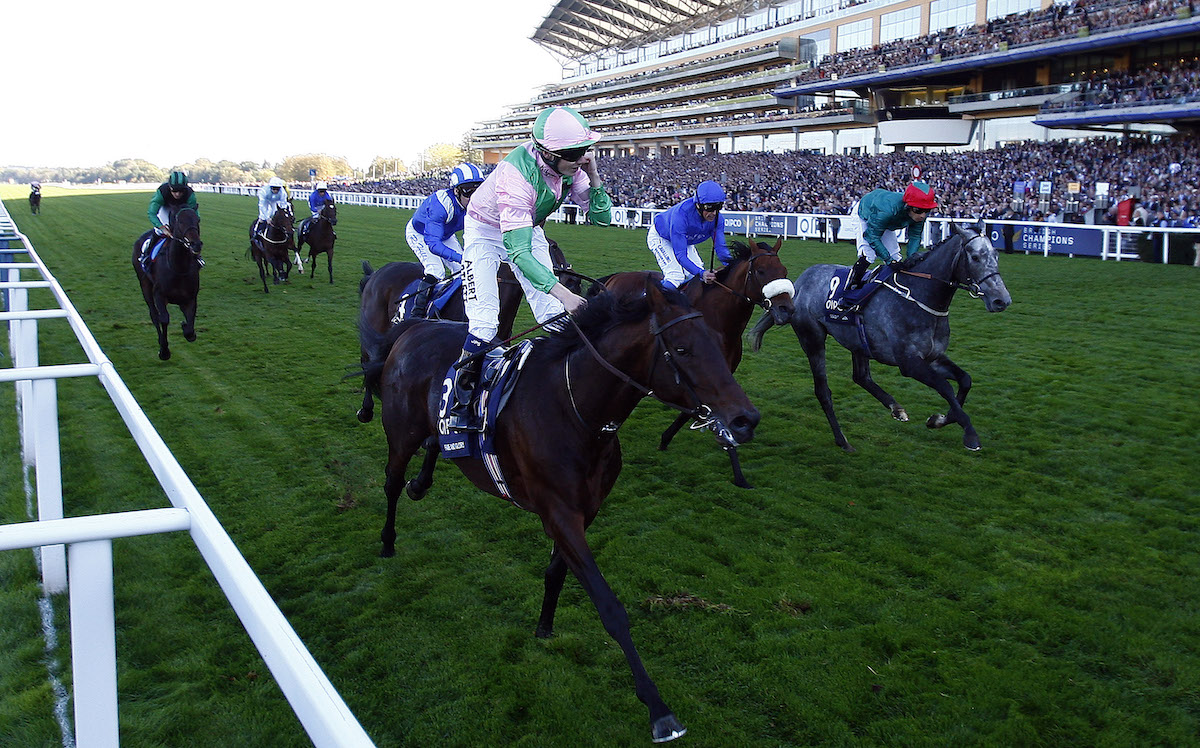 Fame And Glory: the Hays owned 2011 Gold Cup winner in partnership with Coolmore. Photo: Dan Abraham / focusonracing.com