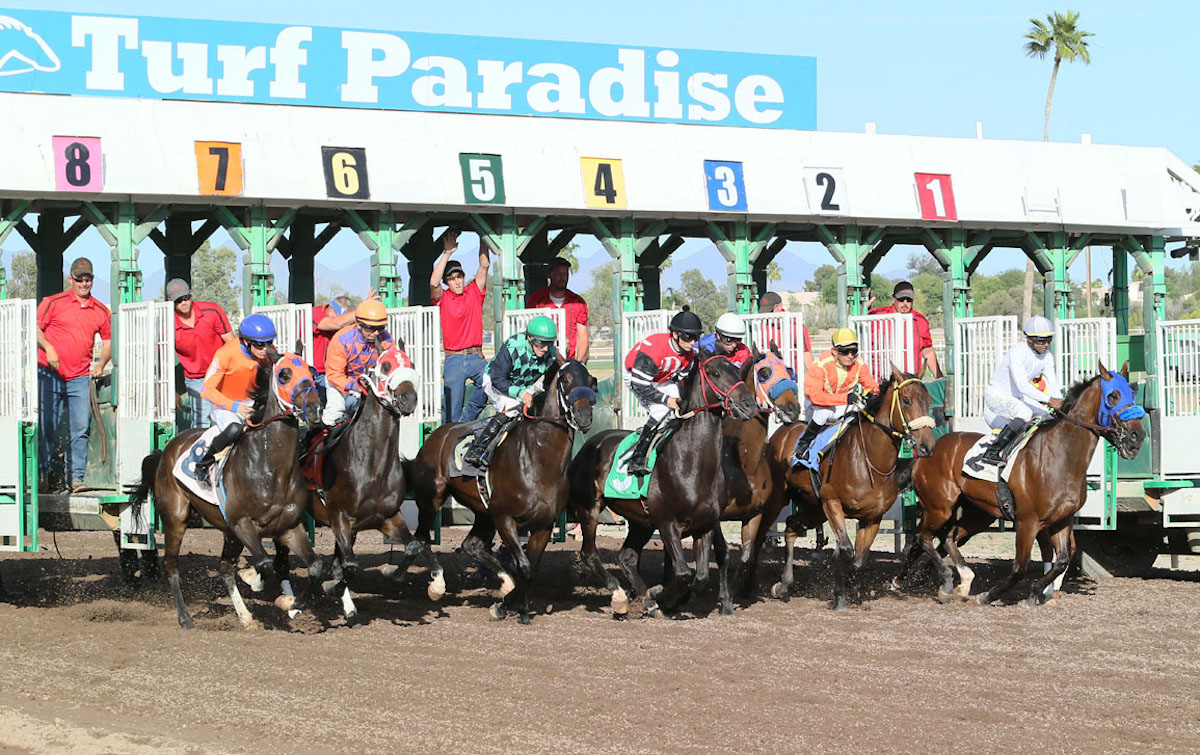 Turf Paradise: Arizona track cited by HISA for certain safety-related issues. Photo: Coady