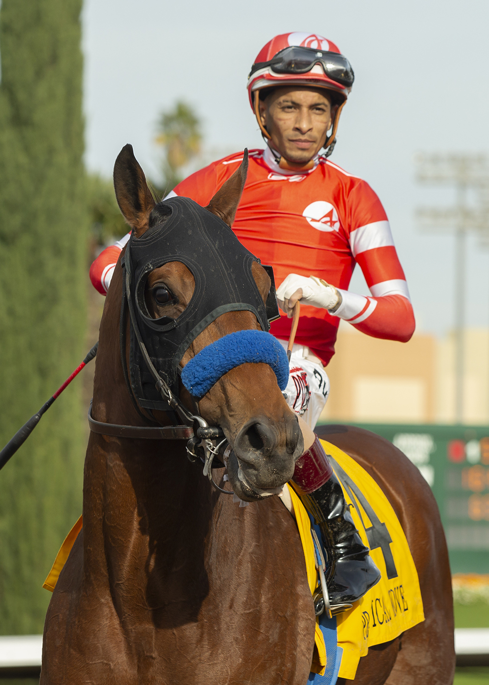 Derby dreaming: Practical Move and jockey Ramon Vazquez. Photo: Benoit