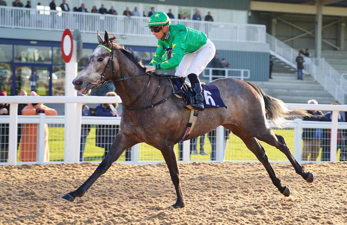 Second success: Greg Cheyne scores on Silver Sword in a maiden at Southwell. Photo: Tony Knapton / focusonracing.com