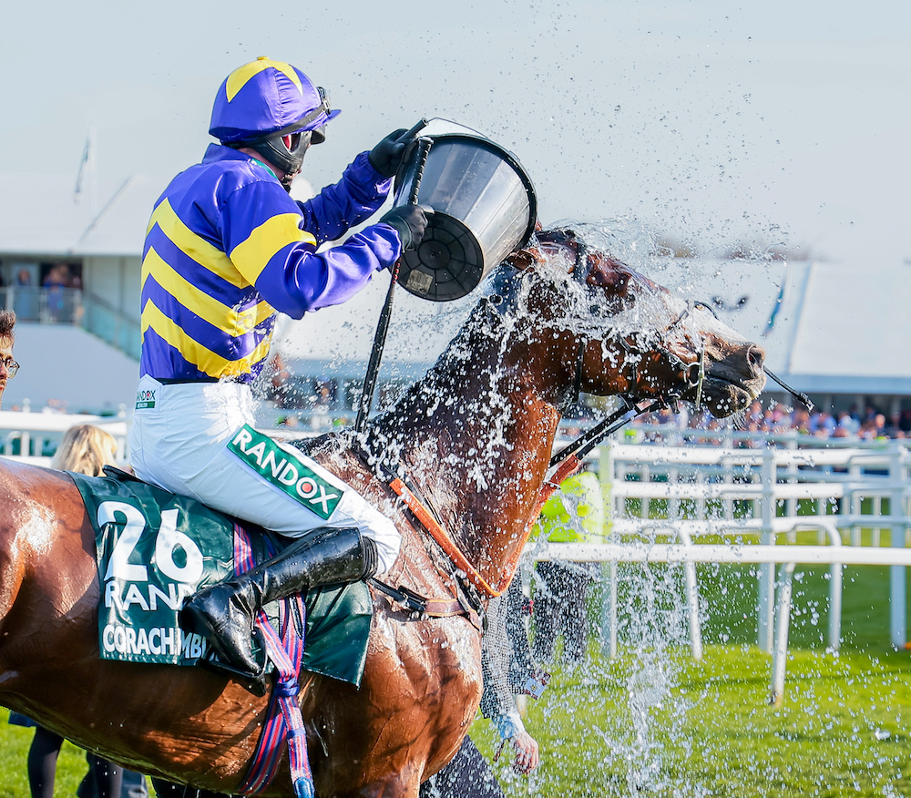 Cooling down: Derek Fox gives Corach Rambler a shower after their Aintree success. Photo: Mark Cranham / focusonracing.com