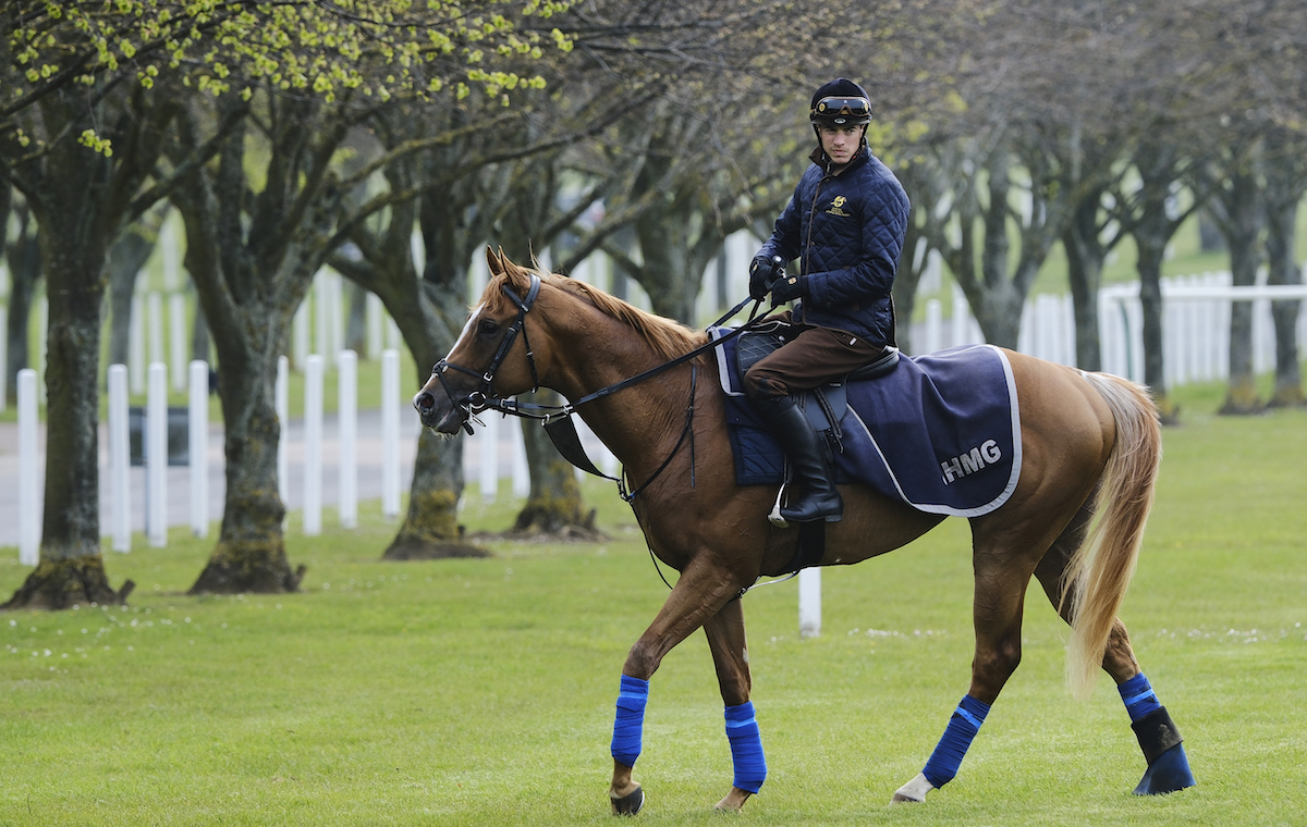 King’s horse: Slipofthepen and James Doyle in Newmarket. Photo: The Jockey Club (John Hoy/Megan Ridgwell)