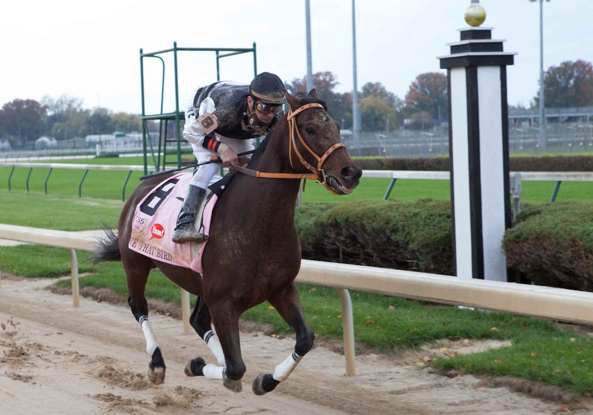 The real Calvin Borel guides the movie's Mine That Bird in lonely isolation during the early furlongs of the 2009 Derby. (Ben Glass photo)