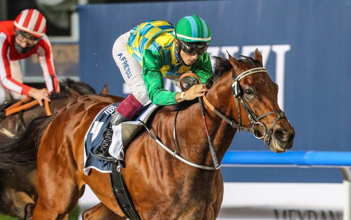 Magnificent at Meydan: Antonio Fresu steers Military Law to G2 success in R1 of the Al Maktoum Challenge in 2021. Photo: Dubai Racing Club