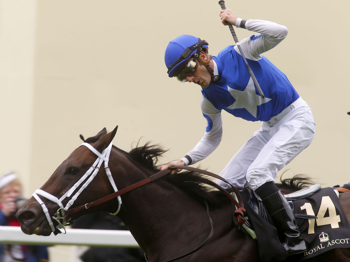 Julien Leparoux salutes a famous Royal Ascot victory on Tepin. Photo: Dan Abraham/focusonracing.com 