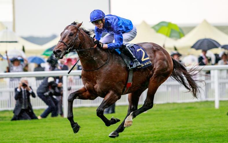 Sprint star: Darley’s sire of the moment Blue Point is represented at Goresbridge. Photo: Godolphin