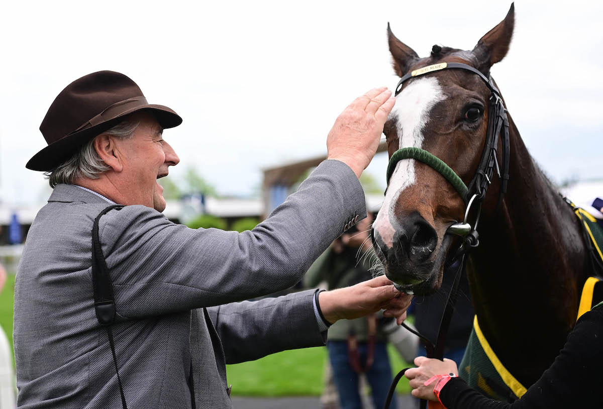 Group winner: Layfayette has won a pair of Group races plus two Listed races for trainer Noel Meade. Photo: Healy / focusonracing.com