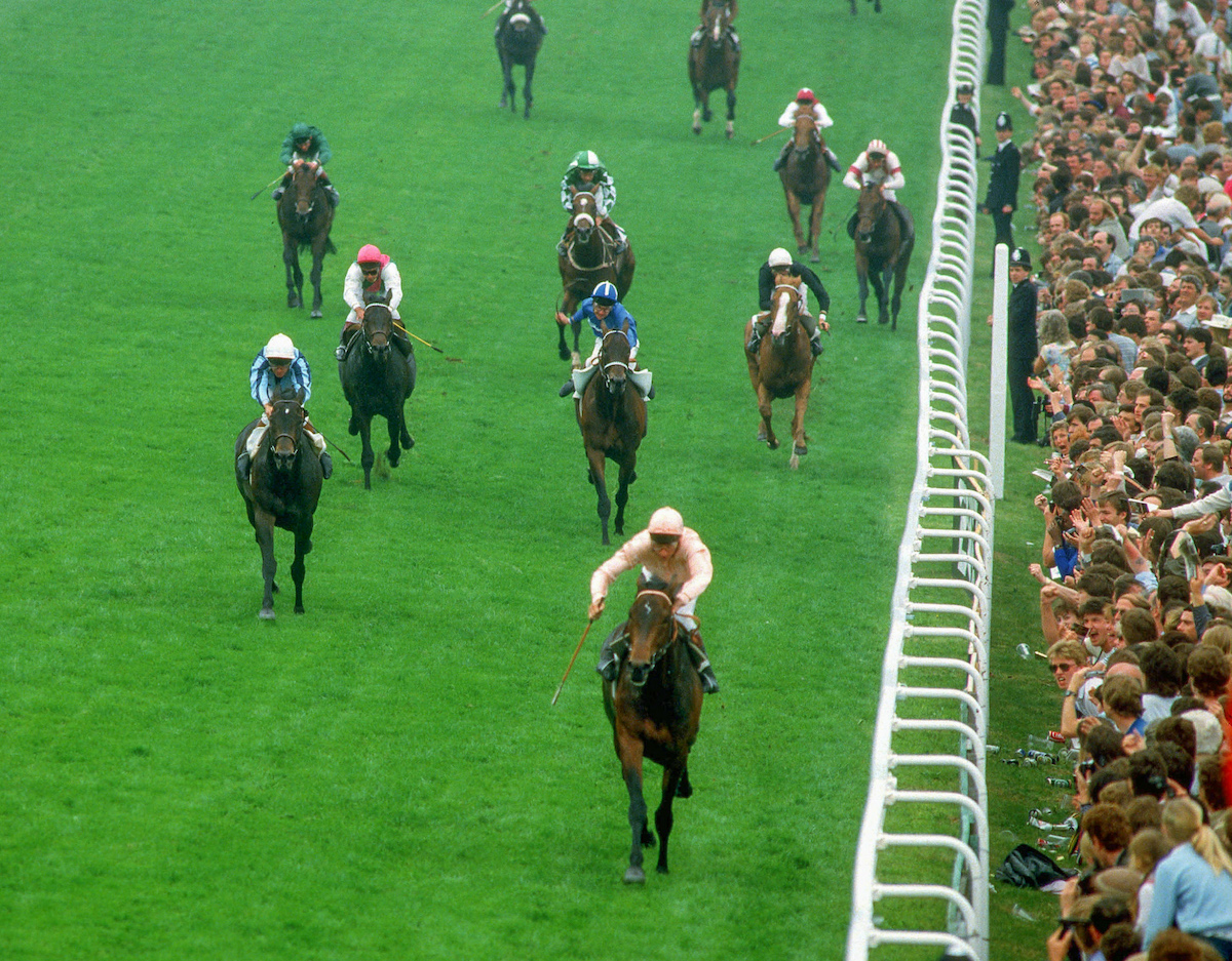 Runaway winner: Steve Cauthen wins his first Derby on Slip Anchor at Epsom in 1985. Photo: Mark Cranham / focusonracing.com