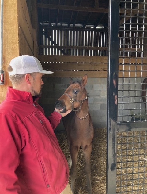 Resident Tyler Harris gets up close to a Gun Runner foal. Photo: Ken Snyder