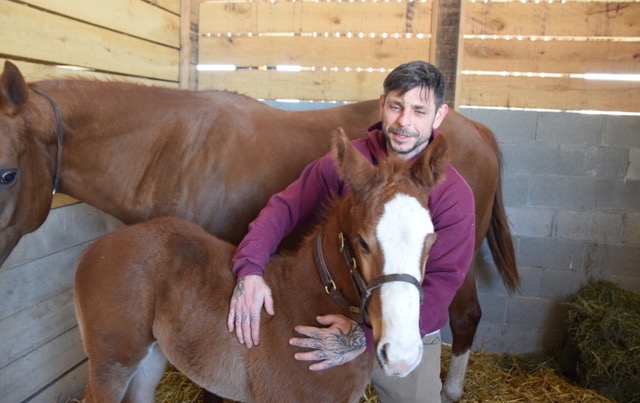 Horse therapy: Stable Recovery graduate Edgar Rowland with a foal on the farm. Photo: Ken Snyder