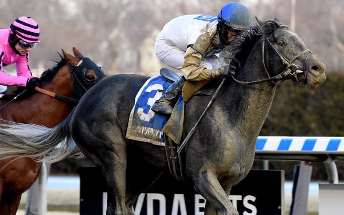Career highlight: Montauk Traffic (Jose Lezcano) wins the Jimmy Winkfield Stakes at Aqueduct in February 2020. Photo: NYRA/Chelsea Durand (Coglianese)