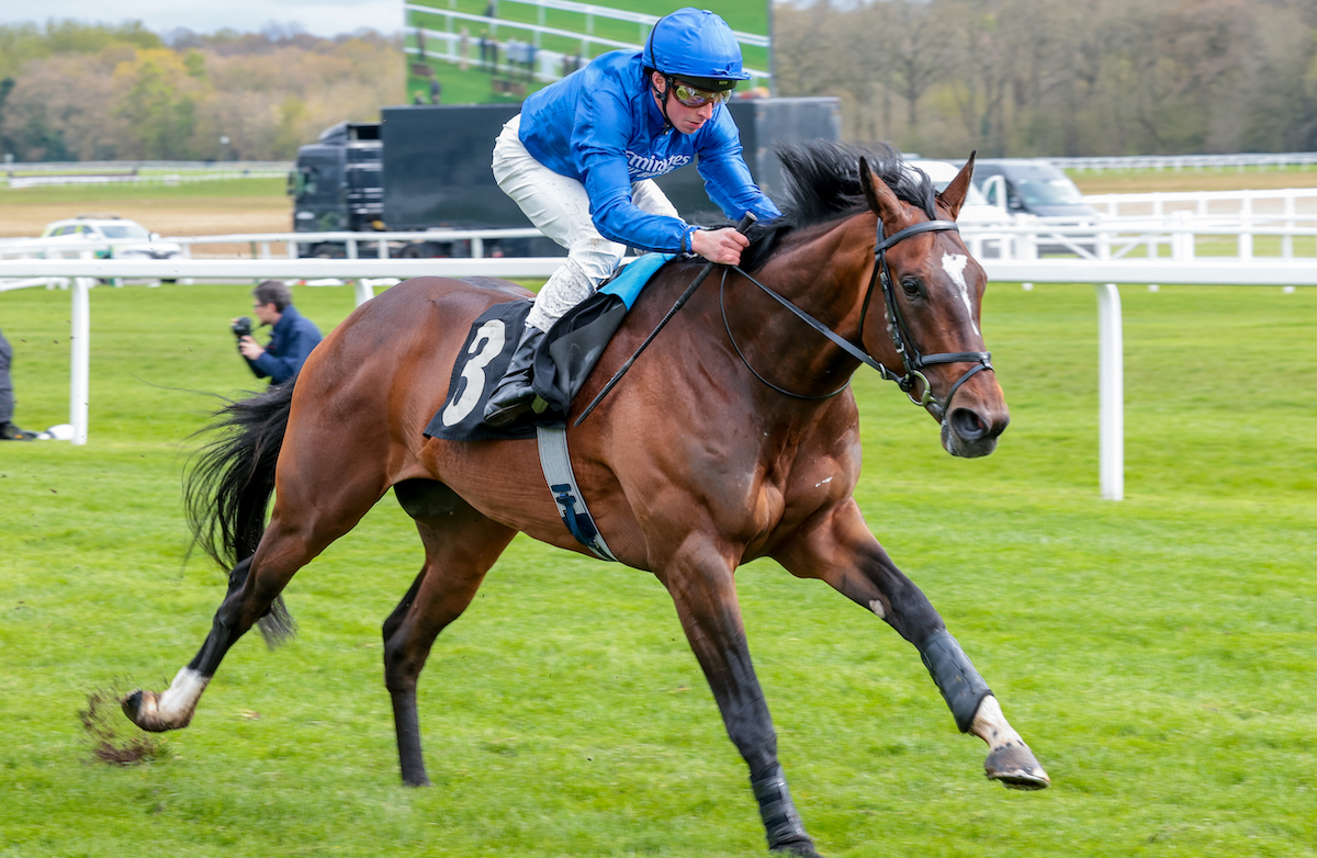 Successful return: Military Order (William Buick) makes a winning three-year-old debut at Newbury. Photo: Mark Cranham / focusonracing.com