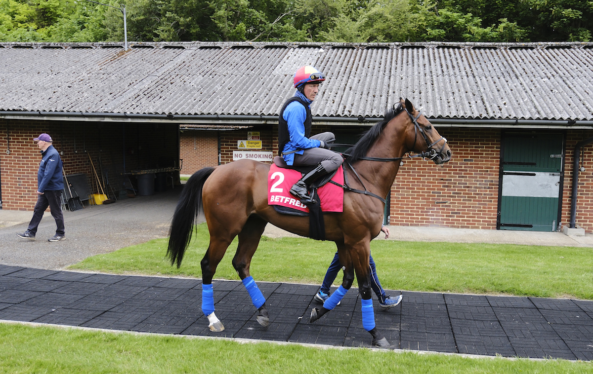 Location, location, location: Arrest and Frankie Dettori at Epsom for the annual Derby Festival Gallops Morning. Photo: John Hoy/The Jockey Club