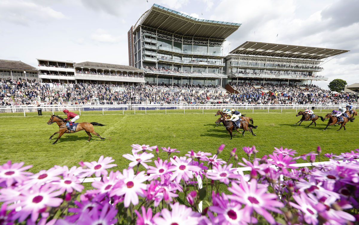 Soul Sister: major Oaks contender for Dettori after winning Musidora Stakes at York. Photo: Dan Abraham/focusonracing.com