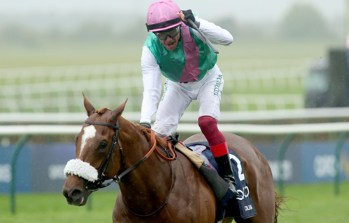 Classic winner: Frankel’s son Chaldean wins 2000 Guineas under Frankie Dettori. Photo: Dan Abraham / focusonracing.com