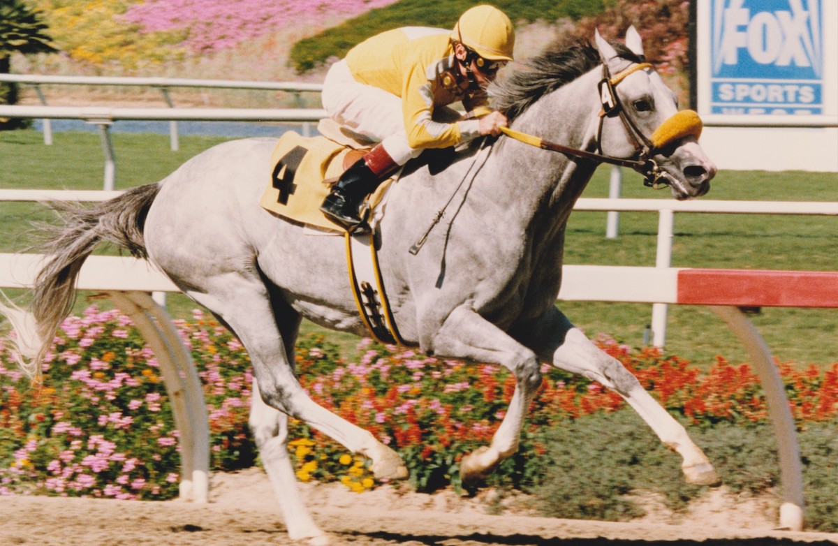 Free House came out firing as a four-year-old to win the Bel Air Handicap at Hollywood Park. (Benoit photo)