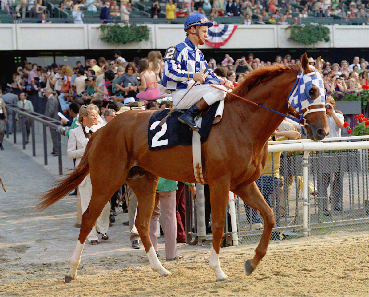 On the verge of history: Secretariat and Ron Turcotte take their place in the Belmont post-parade. Photo: NYRA/Coglianese