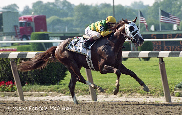 Commendable, who won the 2000 Belmont, was a son of Gone West, another influential grandson of Secretariat. Photo: Patricia McQueen