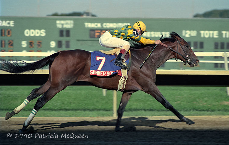 Summer Squall: became first grandson of Secretariat to win a US Classic in the 1990 Preakness. Photo: Patricia McQueen