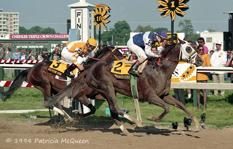 Tabasco Cat: Preakness and Belmont victor in 1994 is one of 13 Classic-winning descendants from the Storm Cat branch of the family line. Photo: Patricia McQueen