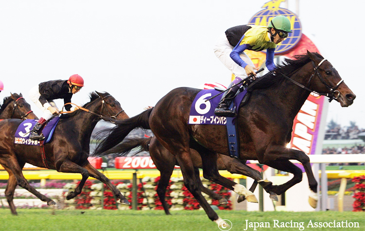Deep Impact went unbeaten through Japanese Triple Crown in 2005, including victory in the Tokyo Yushun (Derby). Photo: Japan Racing Association