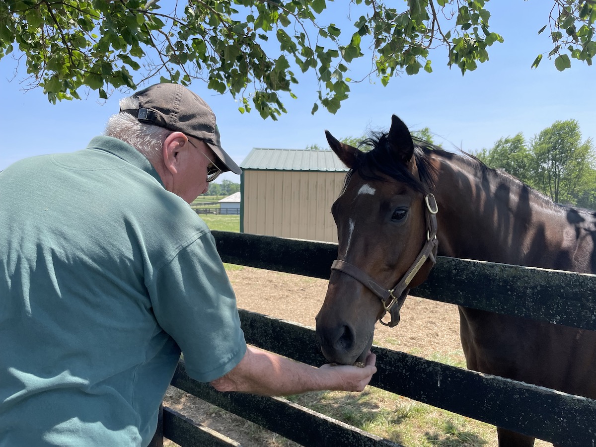 Former graded-stakes-winning turf sprinter Green Mask with Michael Blowen at Old Friends. Photo: Amanda Duckworth