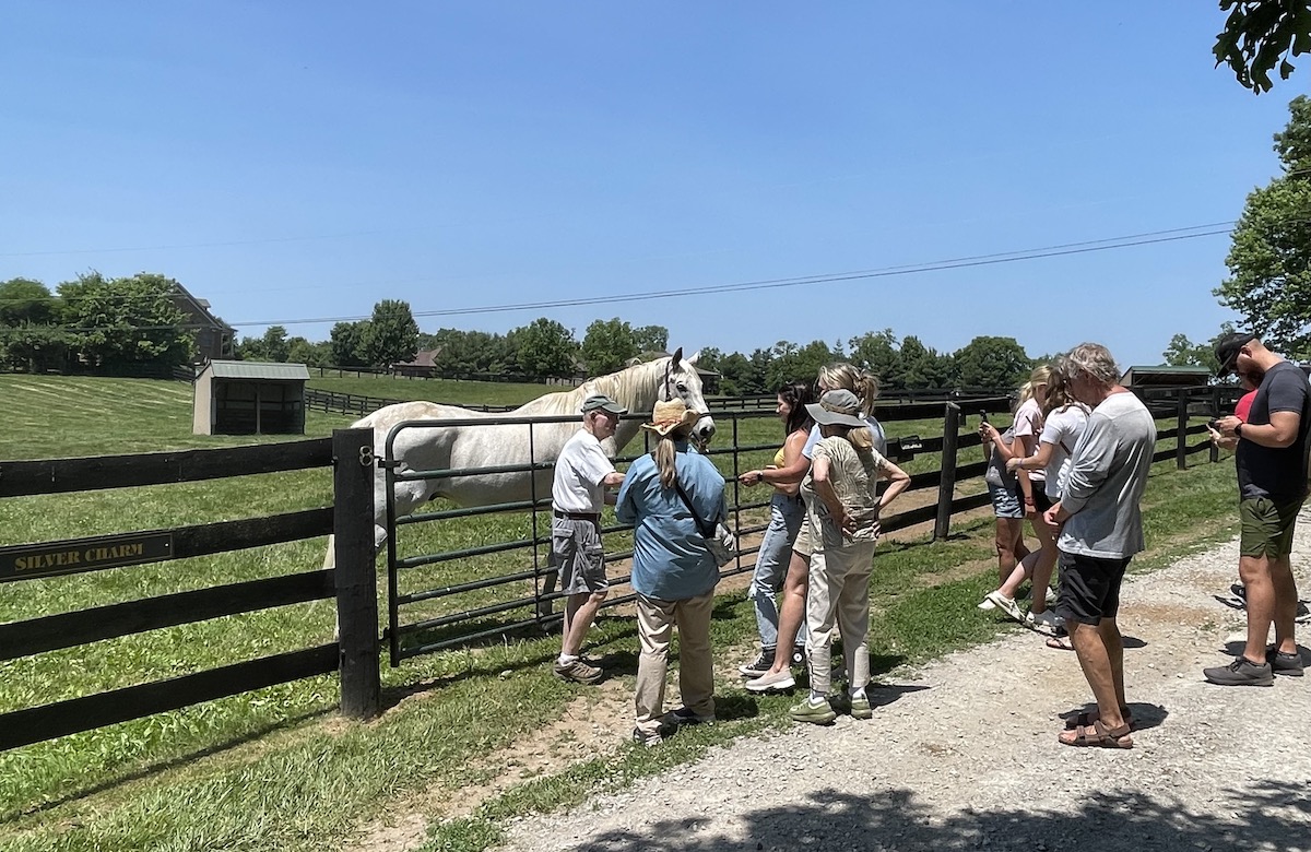 Star attraction: an Old Friends tour party visits Silver Charm. Photo: Amanda Duckworth