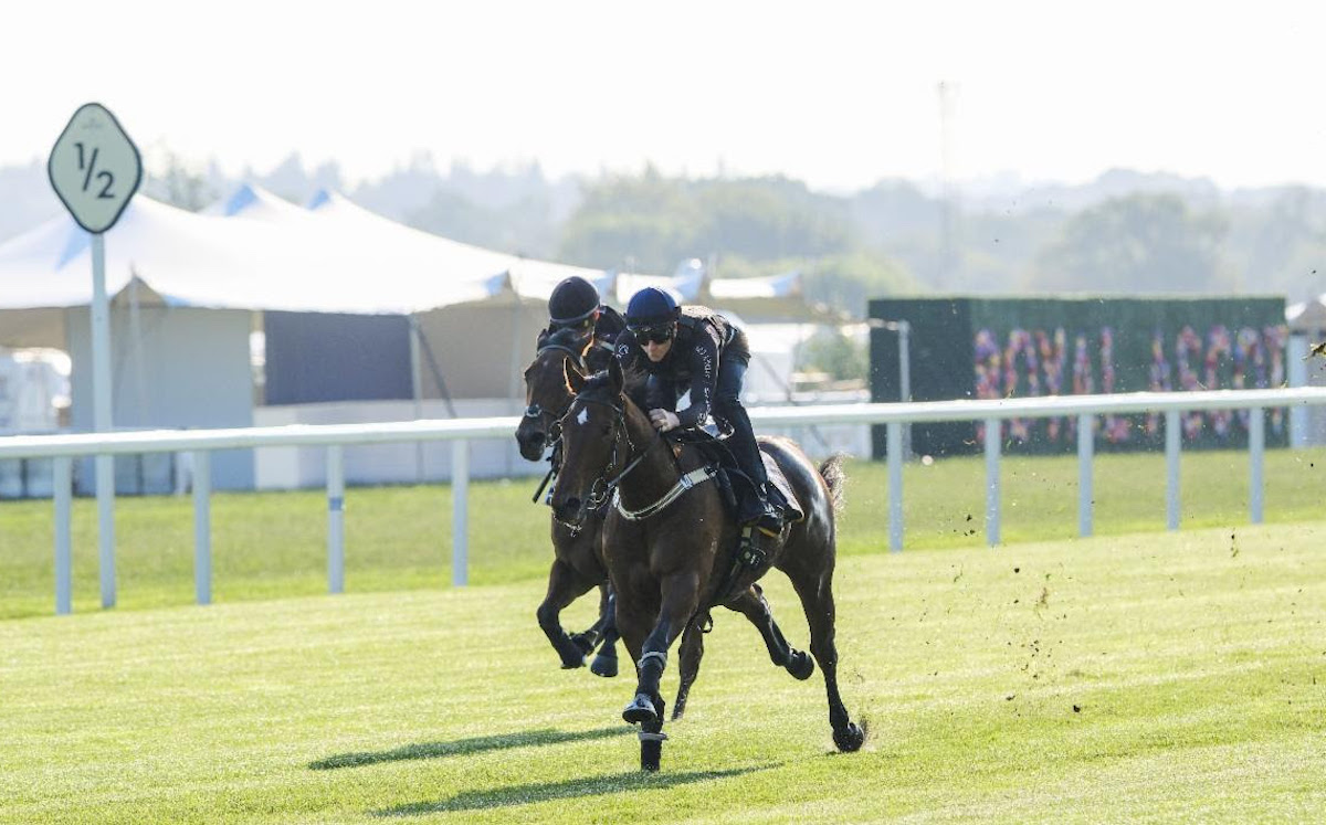 Ascot trial: Coolangatta tries out the straight track at Ascot under big-race jockey James McDonald. Photo: John Hoy