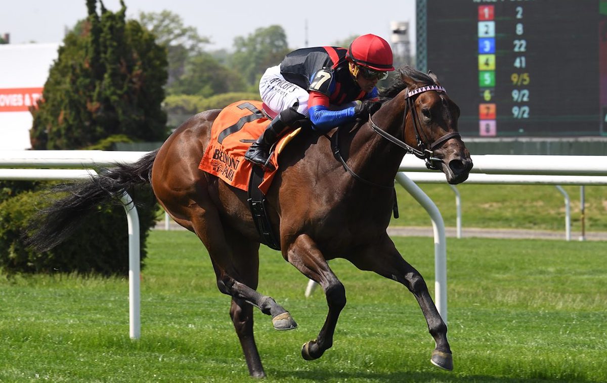 Cynane: Queen Mary candidate scores impressively on Belmont debut under Javier Castellano. Photo: NYRA / Chelsea Durand