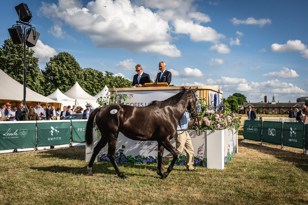 On-site presence:  broodmares spent the afternoon parading in front of the Kensington Palace Orangery. Photo: Sarah Farnsworth