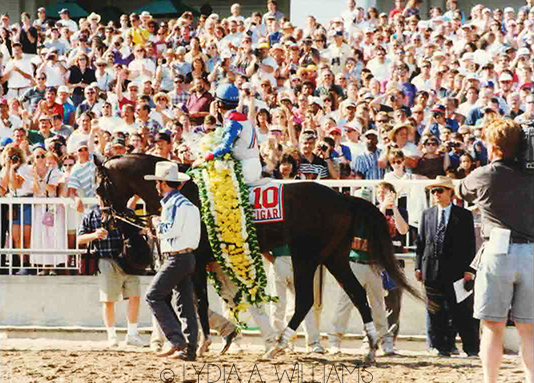 The Arlington Park fans hailed their hero after Cigar won his 16th straight. (Lydia A. Williams photo)