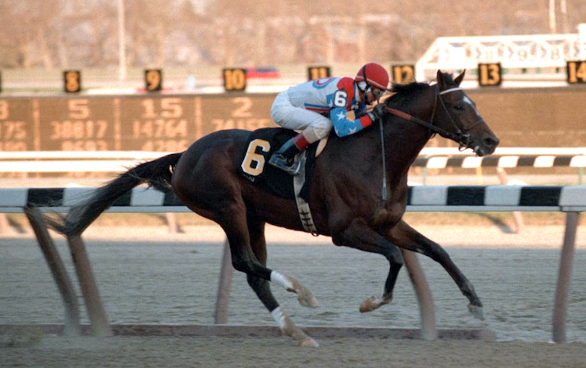 Cigar, pictured here winning the NYRA Mile, remains that mountain other Thoroughbreds must climb to be held in similar regard, says Jay Hovdey. Photo: NYRA / Coglianese