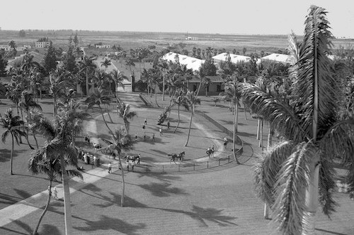 Hialeah, where a saliva test to detect prohibited medications in a horse’s system was introduced in 1934. Photo: Keeneland Library Cook Collection