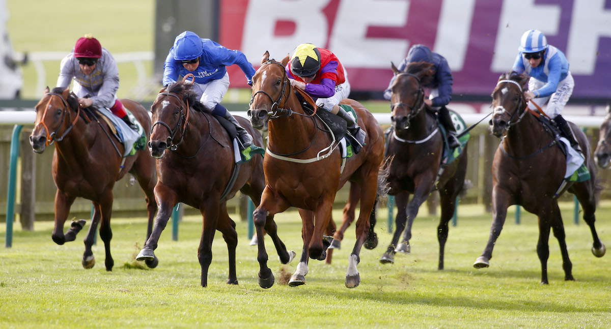 G1 breakthrough: Joe Fanning (star on cap) lands his first G1 victory in 2016 on 25-1 shot The Last Lion at Newmarket. Photo: Dan Abraham / focusonracing.com