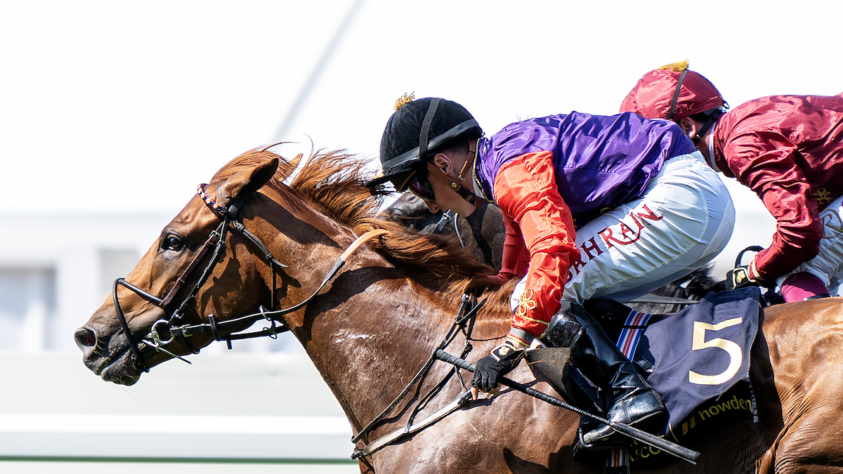 Tom Marquand (near side) drives out Desert Hero for a famous Royal Ascot success in the royal silks. Photo: Hattie Austin / focusonracing.com