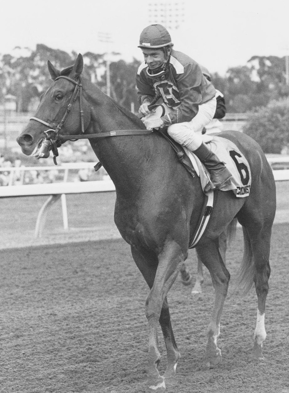 Precisionist and Chris McCarron return victorious after one of their 37 collaborations. (photo courtesy of Hollywood Park, provided by Edward Kip Hannan & Roberta Weiser)