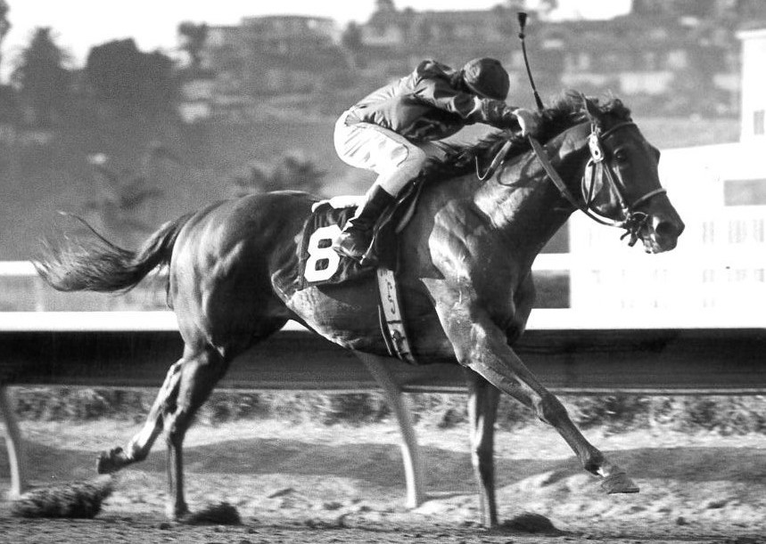 Older runners were no match for the three-year-old Precisionist in the 1984 Del Mar Handicap. (Del Mar photo)